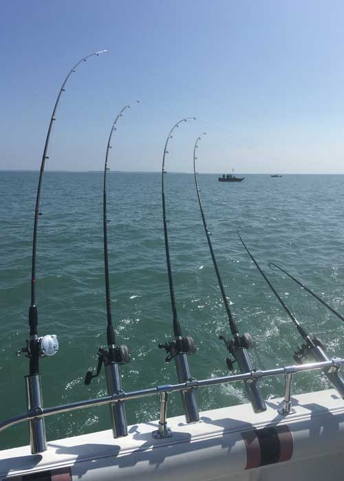 fishing guide lake erie - Walleye