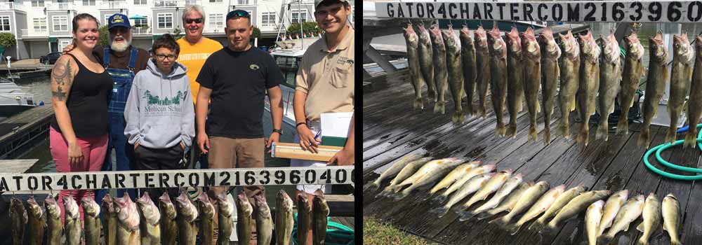 catching lots of walleye