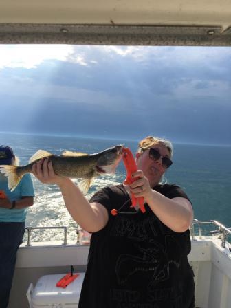 walleye Lake Erie