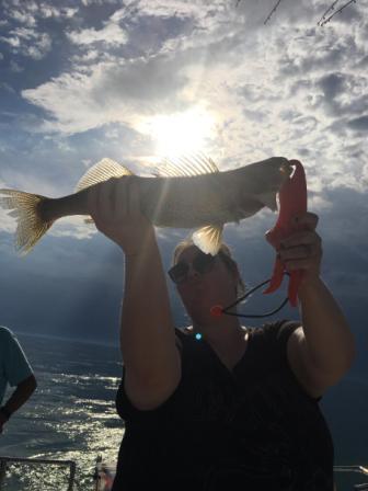 walleye guide lake erie