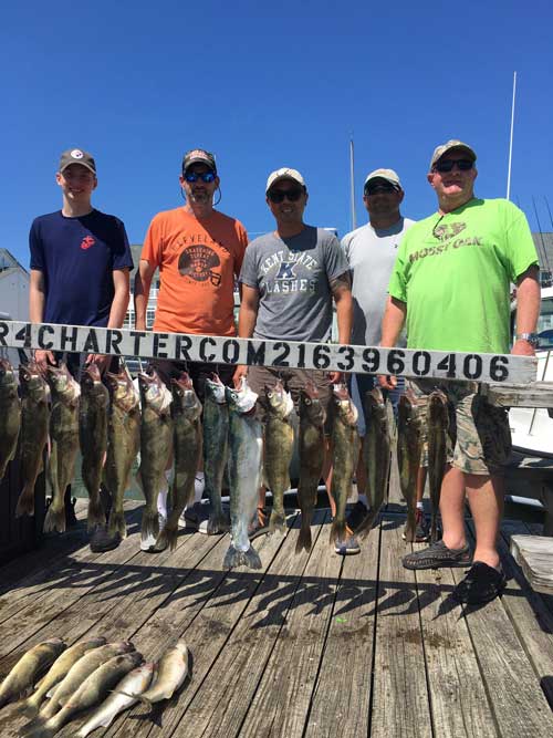 nice walleye - Lake Erie