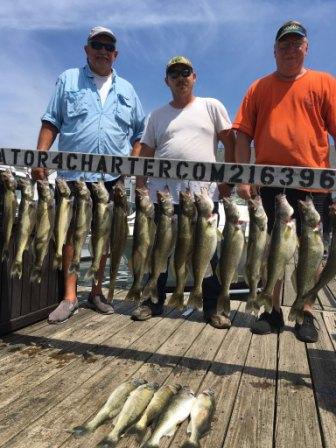 Nice walleye guided trip - Lake Erie