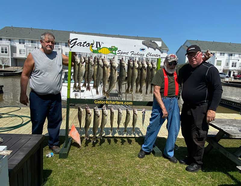 Lake Erie Fishing Charters, Lake Ontario