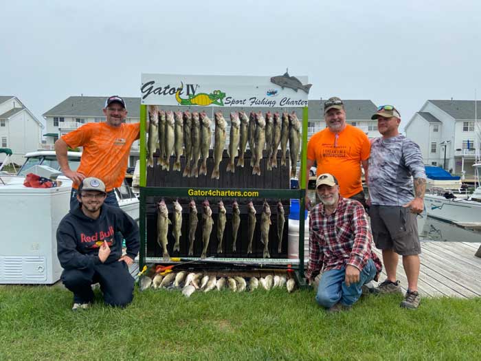 Erie lake guided walleye fishing