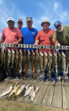 August on Lake Erie - Walleye Guided Group