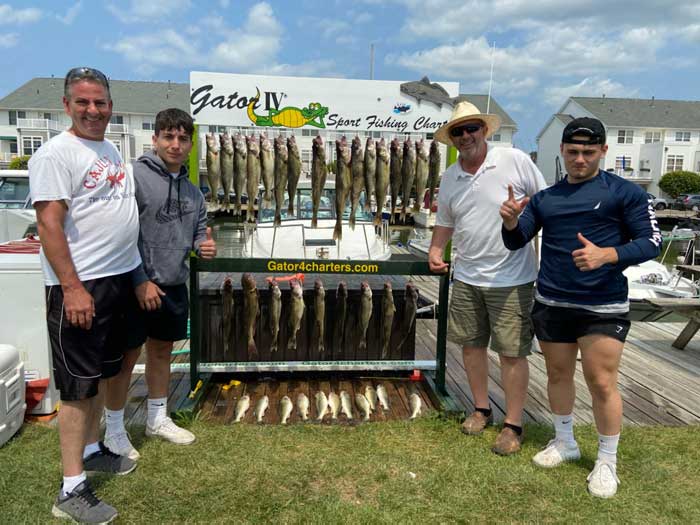 Lake Erie Walleye