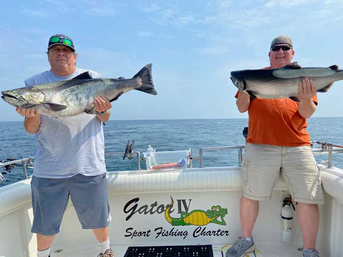 Lake Ontario King Salmon