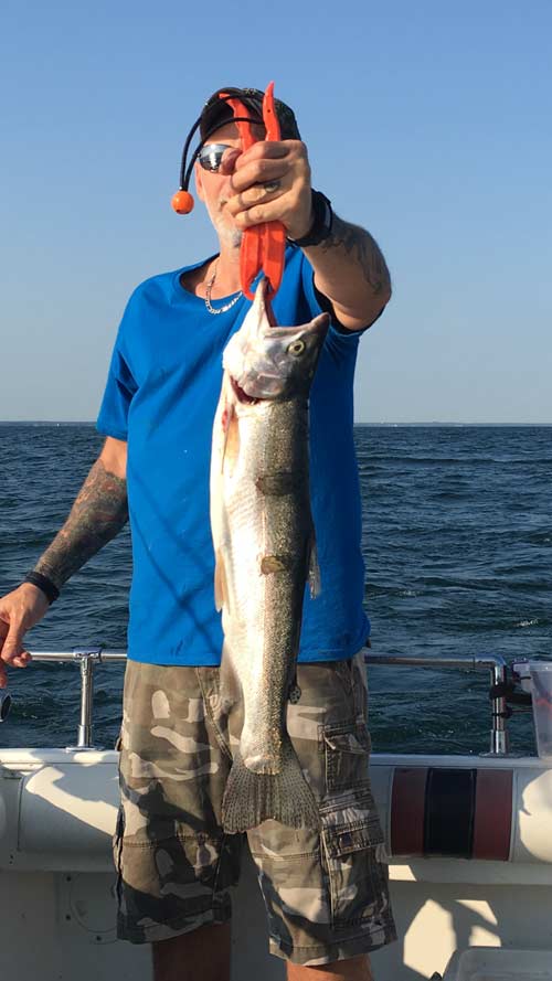 walleye fishing charter lake erie