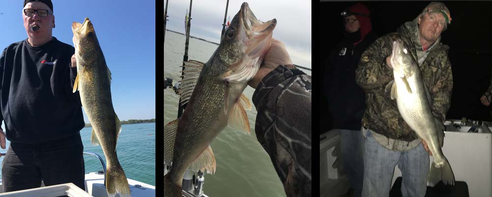 fishing charter Lake Erie - Walleye Specialist