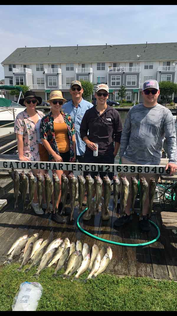 Lake Erie walleye charter