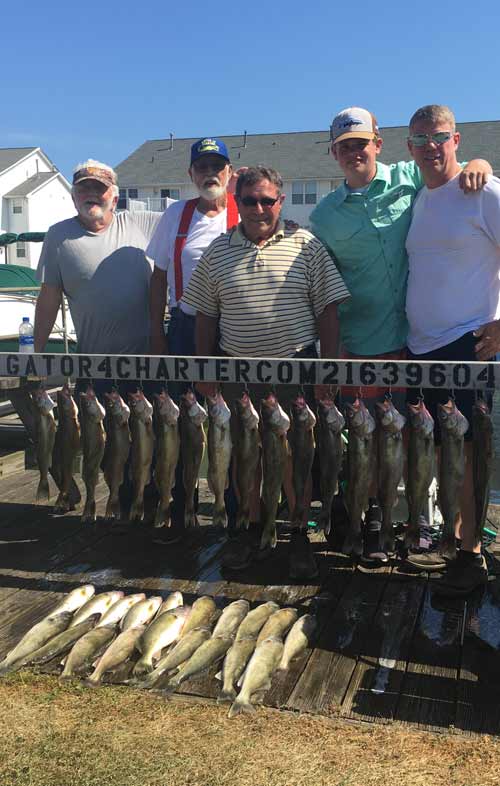 Mid July walleyes on Lake Erie