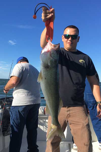 big walleye fishing Lake Erie